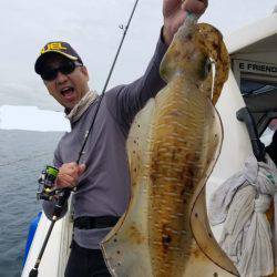 ソルトウォーターガイドフレンズ 釣果
