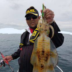 ソルトウォーターガイドフレンズ 釣果