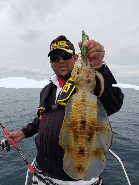 ソルトウォーターガイドフレンズ 釣果