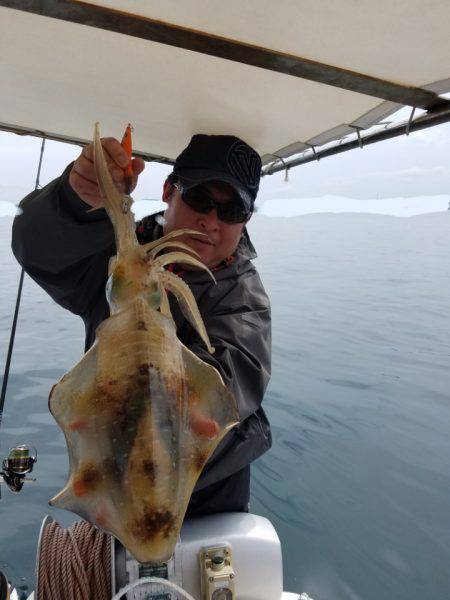 ソルトウォーターガイドフレンズ 釣果