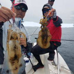 ソルトウォーターガイドフレンズ 釣果