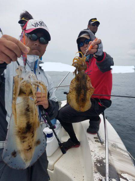 ソルトウォーターガイドフレンズ 釣果