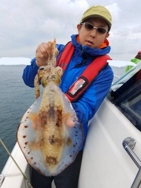 ソルトウォーターガイドフレンズ 釣果