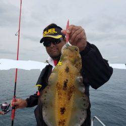 ソルトウォーターガイドフレンズ 釣果