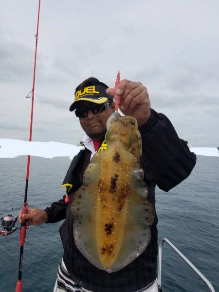 ソルトウォーターガイドフレンズ 釣果