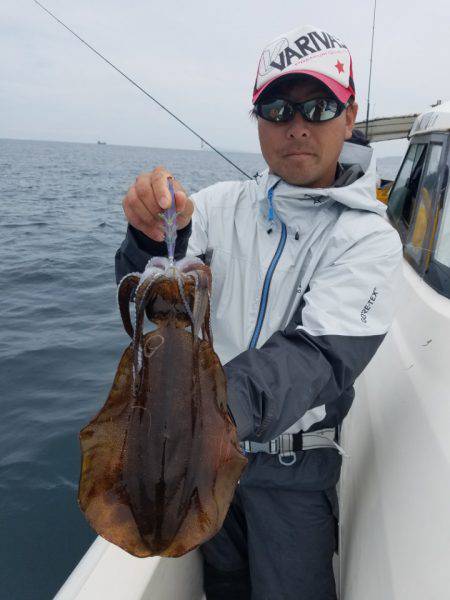 ソルトウォーターガイドフレンズ 釣果