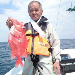 エンペラー 釣果