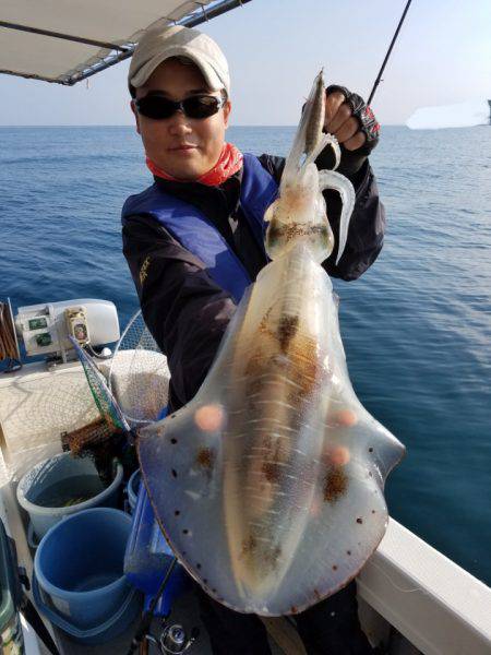 ソルトウォーターガイドフレンズ 釣果