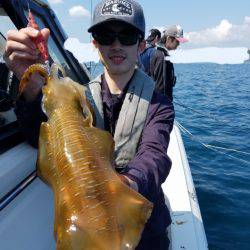 ソルトウォーターガイドフレンズ 釣果