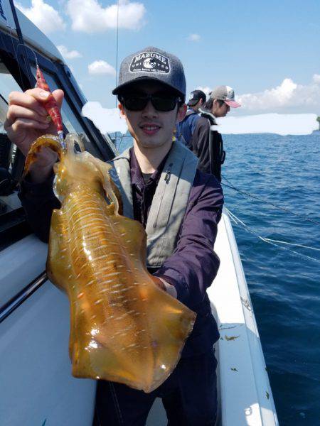 ソルトウォーターガイドフレンズ 釣果