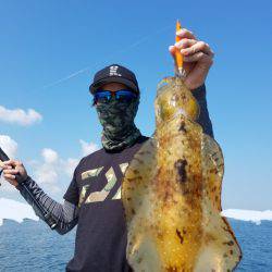 ソルトウォーターガイドフレンズ 釣果