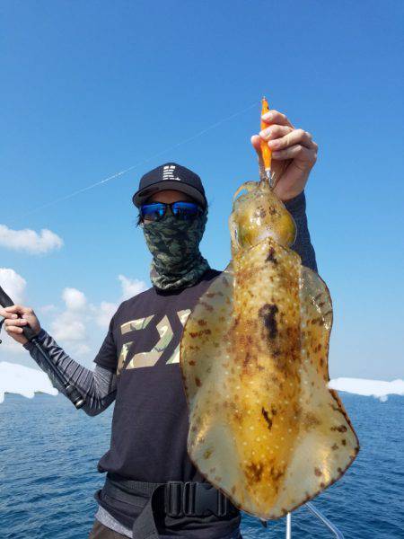 ソルトウォーターガイドフレンズ 釣果