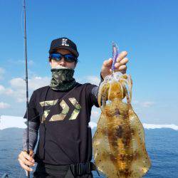 ソルトウォーターガイドフレンズ 釣果