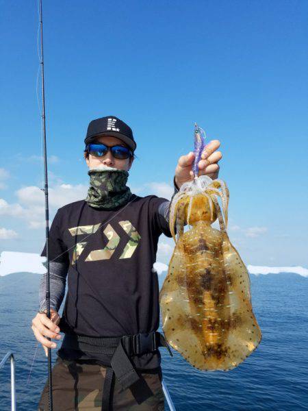 ソルトウォーターガイドフレンズ 釣果