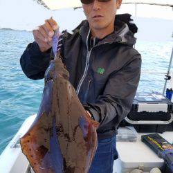 ソルトウォーターガイドフレンズ 釣果