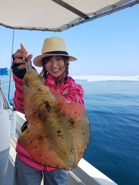 ソルトウォーターガイドフレンズ 釣果