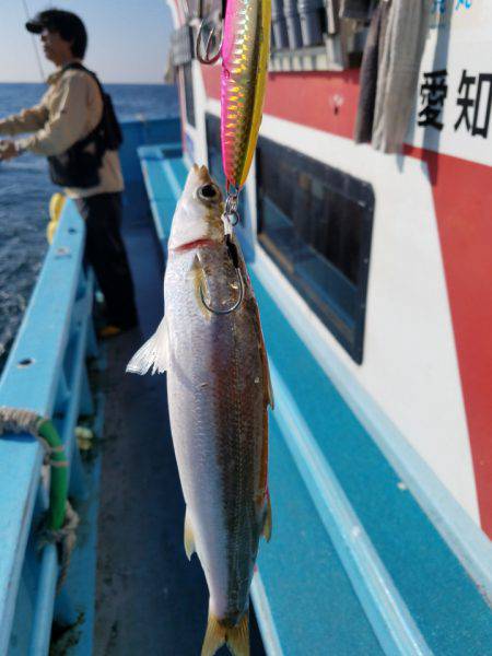 みやけ丸 釣果