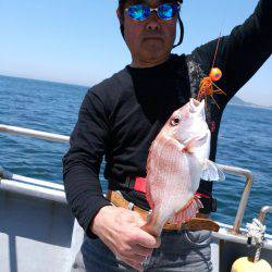 ありもと丸 釣果