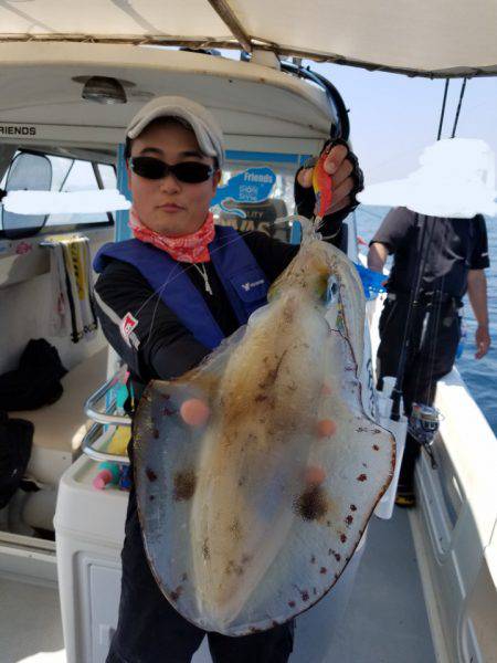 ソルトウォーターガイドフレンズ 釣果