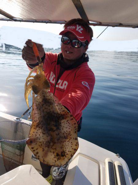 ソルトウォーターガイドフレンズ 釣果