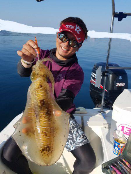 ソルトウォーターガイドフレンズ 釣果