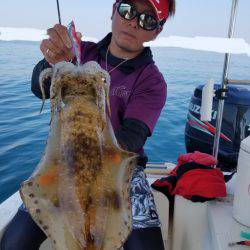 ソルトウォーターガイドフレンズ 釣果