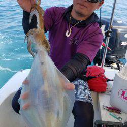 ソルトウォーターガイドフレンズ 釣果