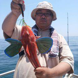 ありもと丸 釣果