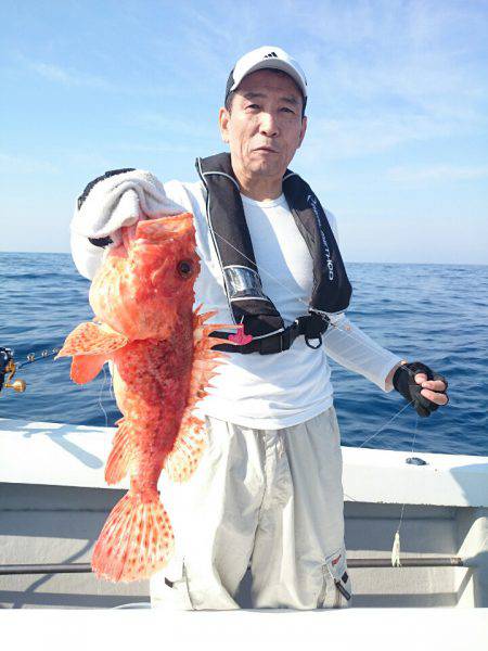 エンペラー 釣果