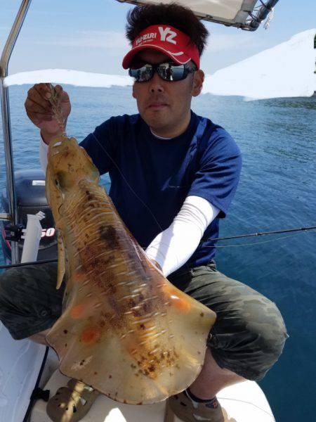 ソルトウォーターガイドフレンズ 釣果