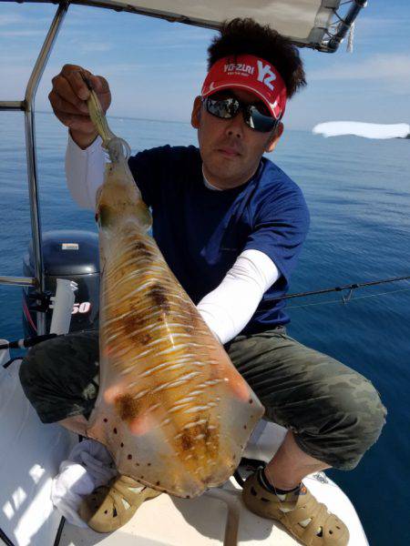 ソルトウォーターガイドフレンズ 釣果