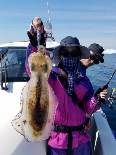ソルトウォーターガイドフレンズ 釣果