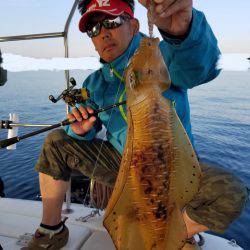 ソルトウォーターガイドフレンズ 釣果