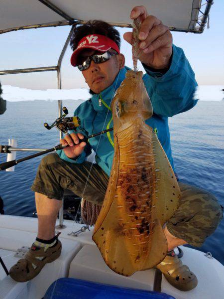 ソルトウォーターガイドフレンズ 釣果