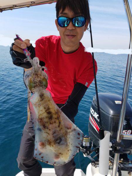 ソルトウォーターガイドフレンズ 釣果