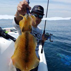 ソルトウォーターガイドフレンズ 釣果