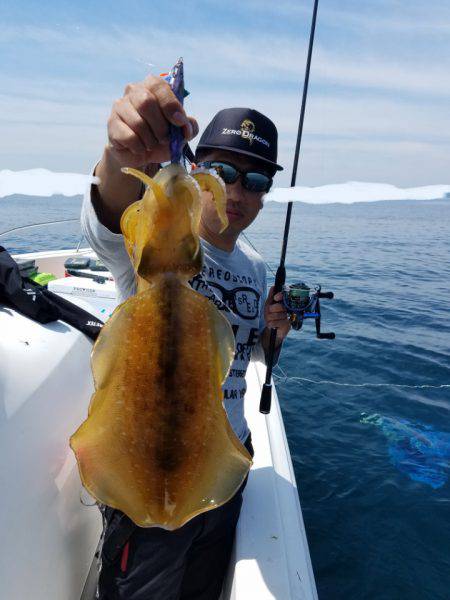 ソルトウォーターガイドフレンズ 釣果