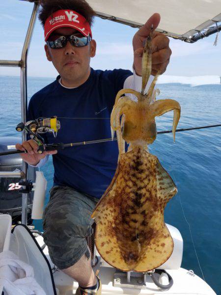 ソルトウォーターガイドフレンズ 釣果