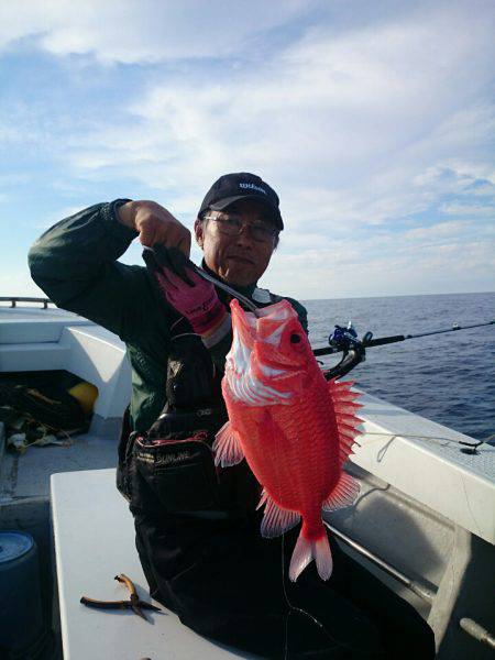 エンペラー 釣果