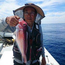 エンペラー 釣果