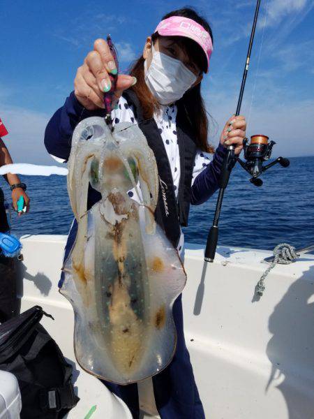 ソルトウォーターガイドフレンズ 釣果