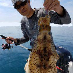 ソルトウォーターガイドフレンズ 釣果