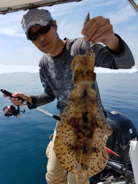 ソルトウォーターガイドフレンズ 釣果