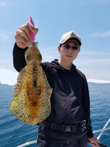 ソルトウォーターガイドフレンズ 釣果