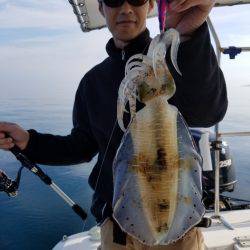 ソルトウォーターガイドフレンズ 釣果