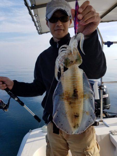 ソルトウォーターガイドフレンズ 釣果