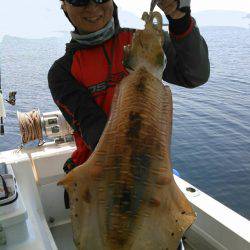 ソルトウォーターガイドフレンズ 釣果