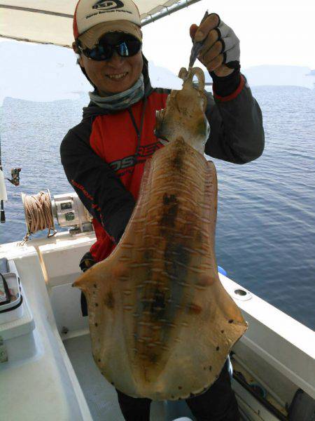 ソルトウォーターガイドフレンズ 釣果