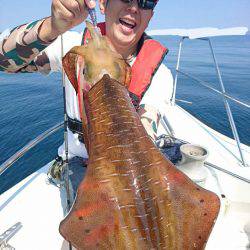 ソルトウォーターガイドフレンズ 釣果