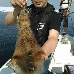 ソルトウォーターガイドフレンズ 釣果